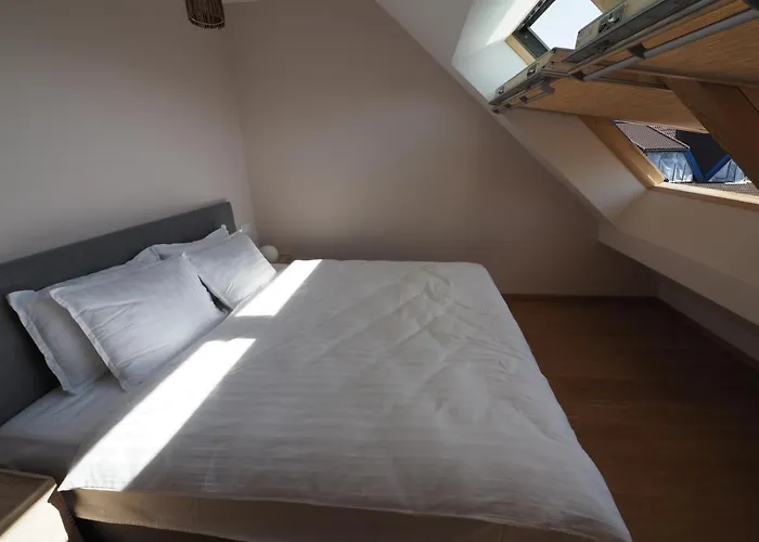 Apartamentai Juodkranteje Saules Smugis 2B 65